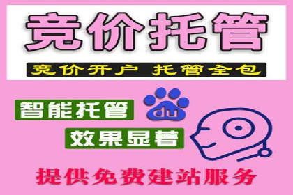 竞价代运营在SEM推广中的应用与效果评估